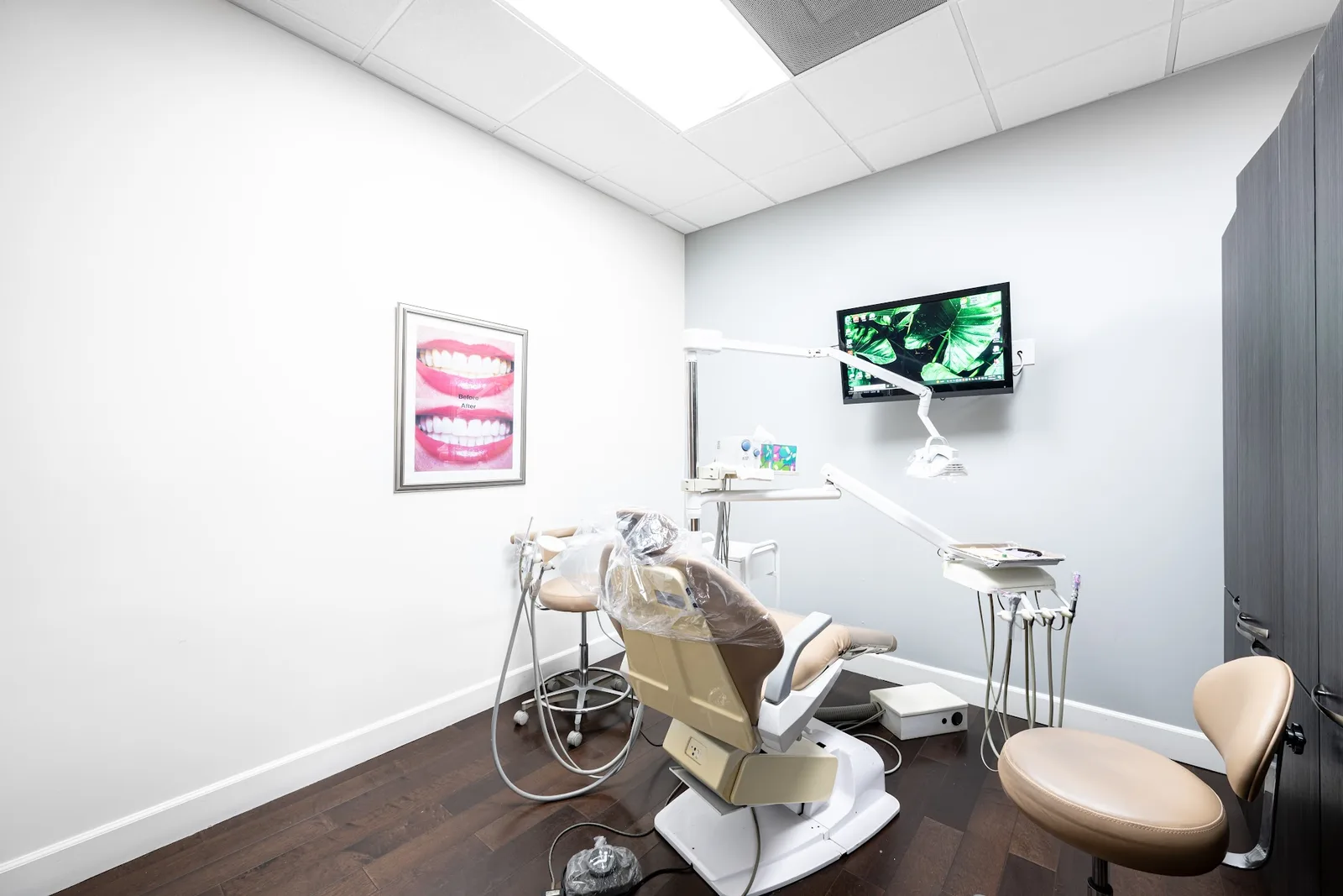 Dental Care